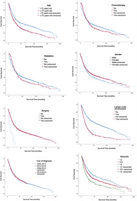Lymph node involvement is associated with overall survival for elderly patients with non-metastatic gallbladder adenocarcinoma
